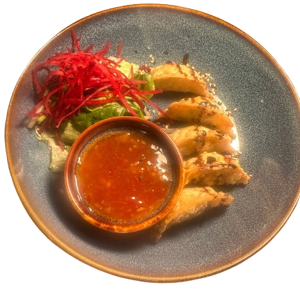 GYOZA (5 Stk)